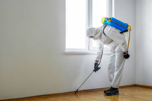 Emergency Pest Control Services in Berea, SC